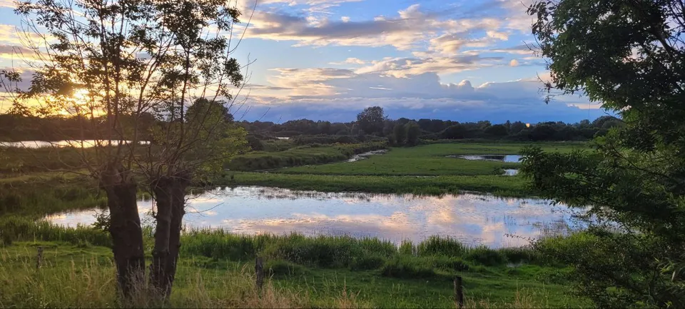 Abendsonne hinter Bäumen, Wolken und Lichtspiegelung auf dem Wasser